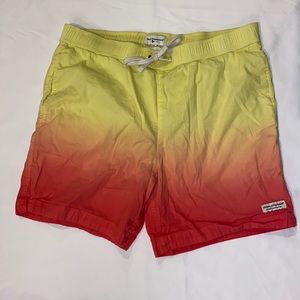 Abercrombie Modern Amusement Ombre Swim Trunks